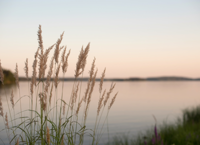 Zingeving in praktijk-Editie 1-2026