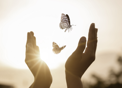 St. Elisabeth Roosendaal