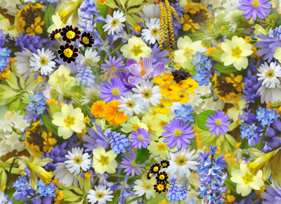 Verpleeghuizen gezocht voor deelname aan In-Touch onderzoek naar palliatieve zorg bij gevorderde dementie